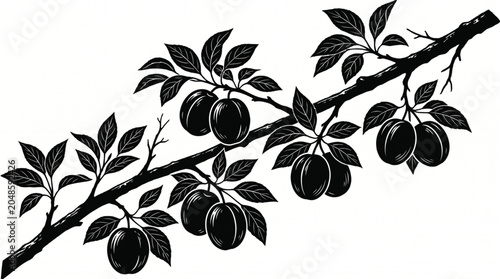 Illustration of a plum tree branch laden with ripe, dark plums and green leaves, rendered in a classic silhouette style