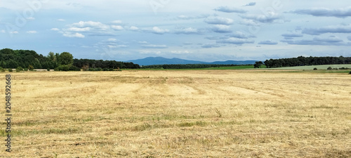 Campo agrícola cosechado bajo cielo nublado