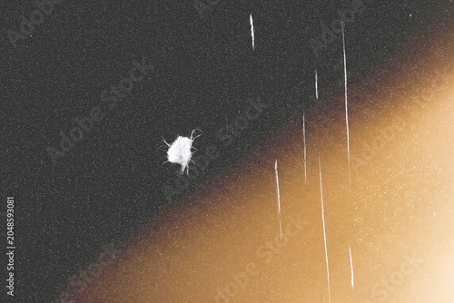 Bild auf Leinwand Vintage film scan overlay, large dust mote spot, thin diagonal scratch lines, wa