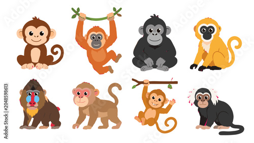 Fotografie Cute cartoon monkey and ape characters set on white background