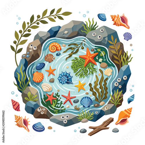 Colorful ocean creatures in tidal pool.