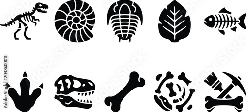 Bild auf Leinwand Fossil and Dinosaur Archaeology Icons Collection with Prehistoric Remains Paleon