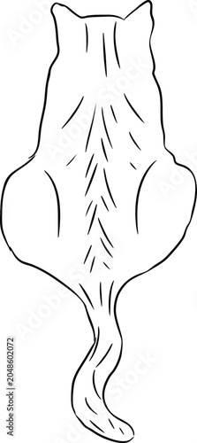 Hand Drawn Cat Outline
