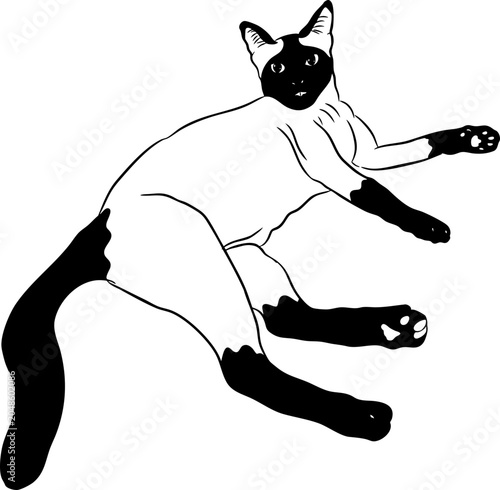 Line Art Siamese Cat