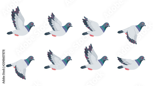 Foto Set of flying pigeon poses in flat vector style