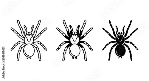 Foto Spider Icons Set, Arachnid Vector Graphics, Insect Illustrations, Halloween and