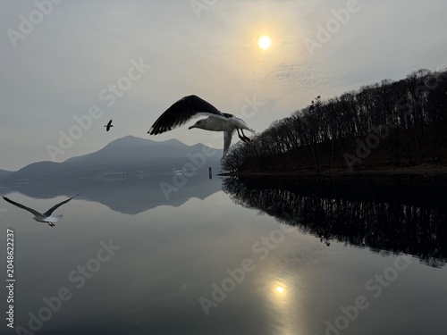 Photography Elegant bird gliding above a serene sunset lake with a golden double sun reflection in mirror-like water
