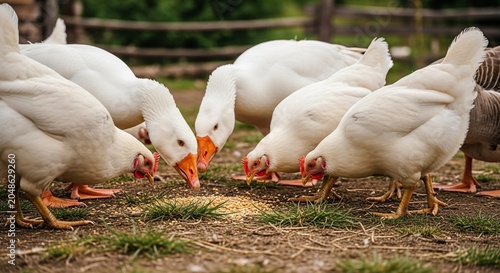 Feathered Communion: Earth's Bounty Shared