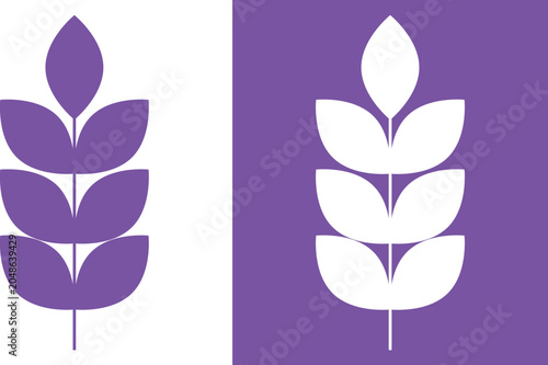 Photos Wheat Ear Icon Set