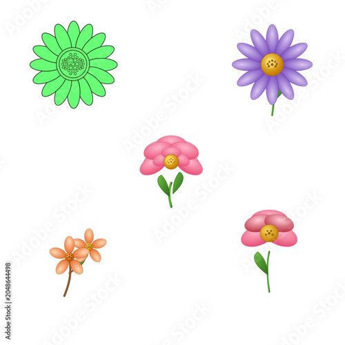 Colorful Flowers Vector Design