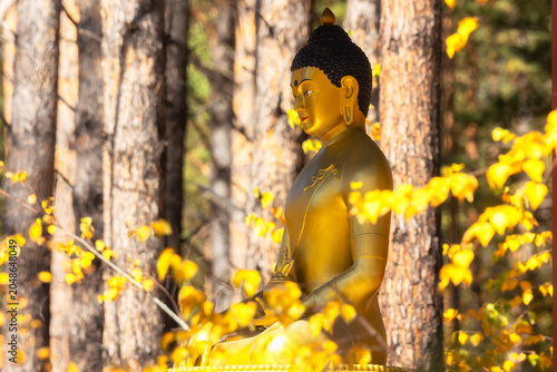 Golden Buddha among yellow autumn leaves