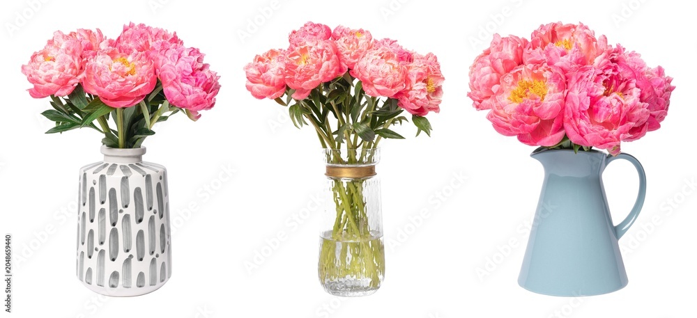 Obraz premium Vibrant peonies in stylish vases element set isolated on white