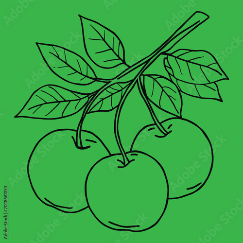 Fresh Cherry Branch Line Drawing Vector Illustration For Coloring And Educational Design