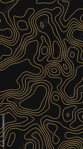 Black and Gold Topographic Line Motion Background