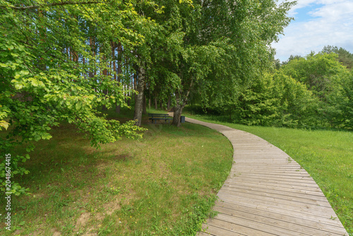 A wooden boardwalk curves smoothly across a green lawn near a shaded park bench. Dense pine and birch trees with lush foliage grow along the plank path in daylight.