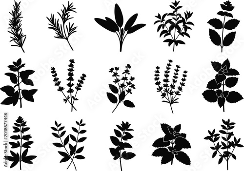 Collection of various herb and plant silhouettes on white background