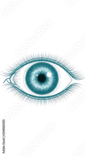 Detailed illustration of a human eye teal iris and eyelashes transparent background