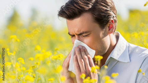 Person sneezing in yellow flower field, holding tissue in bright spring sunlight
