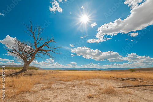 Dry landscape with lone tree