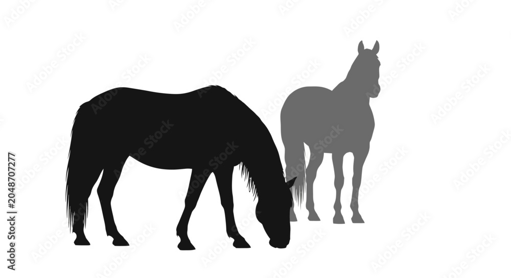 Fototapeta premium Horse silhouettes, black and gray horses on white background, animal icons