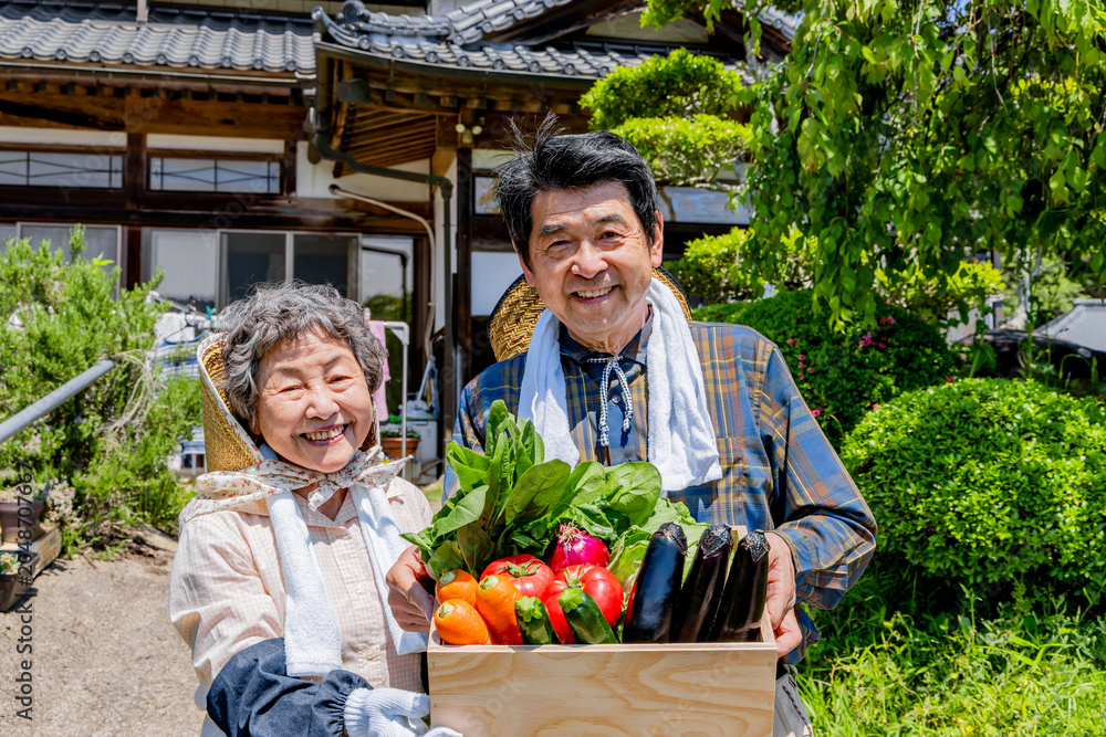 Fototapeta premium 収穫した新鮮な野菜を持つ日本人シニア農家夫婦