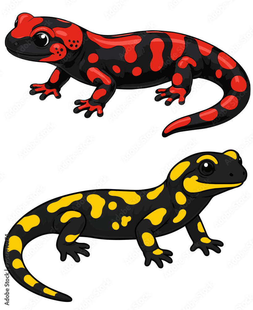 Obraz premium Set of a yellow-and-black fire salamander (Salamandra salamandra) and a red-and-black fire salamander on a transparent background. Vector Illustration.