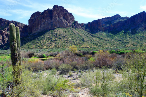 Salt River Recreation Area Arizona