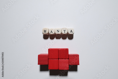Hanta virus concept represented by red wooden block model with word virus on white background and copy space for healthcare themes.
