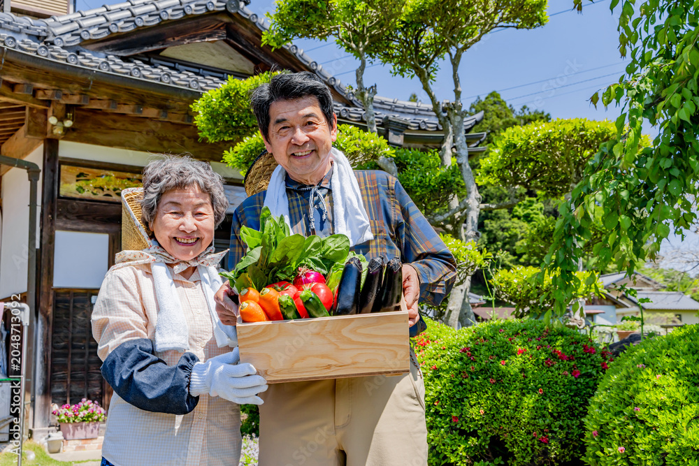 Obraz premium 収穫した新鮮な野菜を持つ日本人シニア農家夫婦