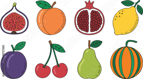 A variety of colorful fruit illustrations including citrus and berries on white background