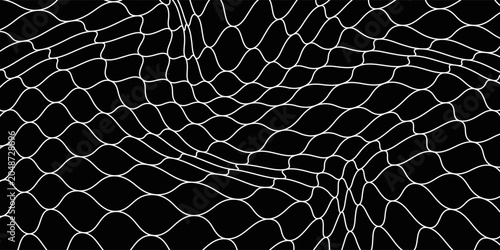 Fishing or soccer net. Repeated hexagon pattern. Black wired mesh texture isolated on white background.ilustrasion modern.