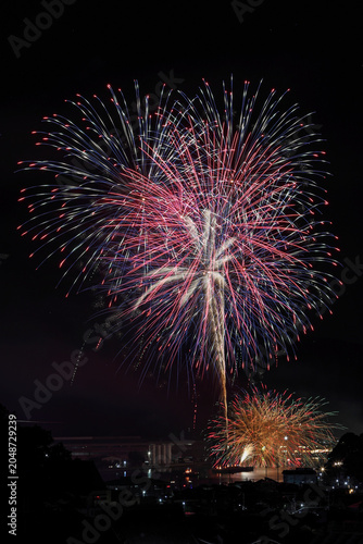 ペーロン祭花火大会2026 03