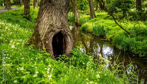 Ancient stone tunnel hidden in lush green forest.