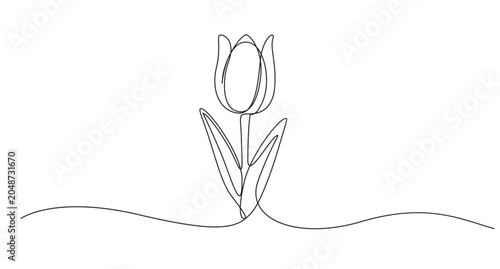 The tulip is drawn in one continuous line, Minimalist contour drawing of tulip. Continuous line drawing of flower tulip