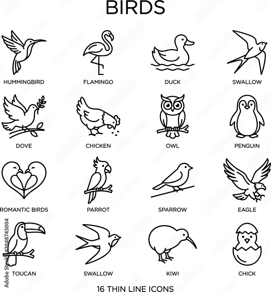 Obraz premium Birds Thin Line Icon Set with 16 Species Hummingbird Flamingo Owl Eagle Parrot Penguin Toucan and More Minimal Outline Vector Design
