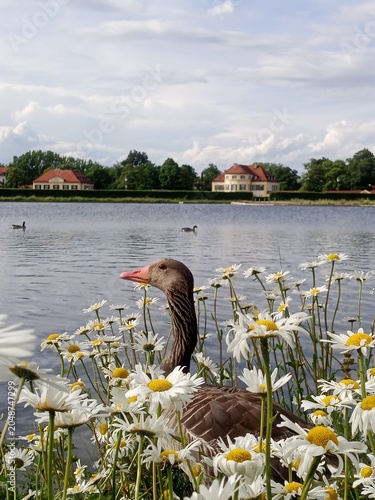 München, Deutschland, Bayern, Schloss Nymphenburg