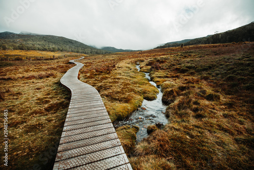 bridge in the mountains