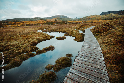 bridge over lake