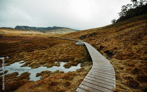 mountain road in the mountains