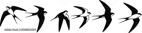 Фотография Five stylized swallow silhouettes in flight with varied wing positions, capturin