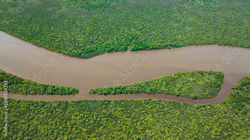 Foto Mangroves and rainforest in the tropics
