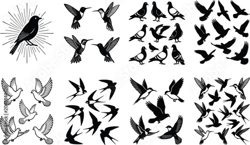 Fotografie Bird silhouette vector mega collection flying hummingbird flock pigeon swallow d