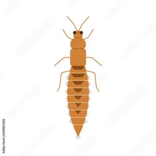 Soldier Termite Vector Illustration Pest Insect Isolated