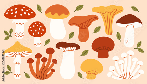 Fotografie Whimsical autumn mushroom collection vector illustration with forest foliage