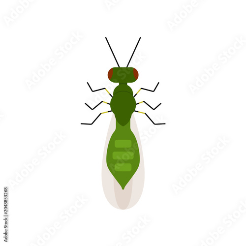 Green Ant Vector Illustration Isolated Insect Clipart