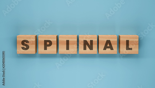 Tableau sur toile Wooden Blocks Spelling SPINAL on Blue Background