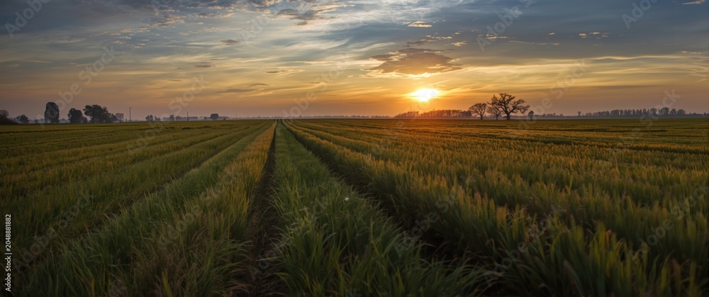 Fototapeta premium Peaceful rural landscape with fields glowing at dusk