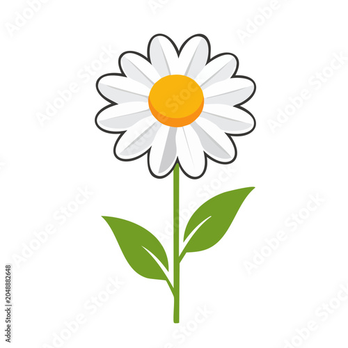 Flat design daisy flower with green leaves and stem