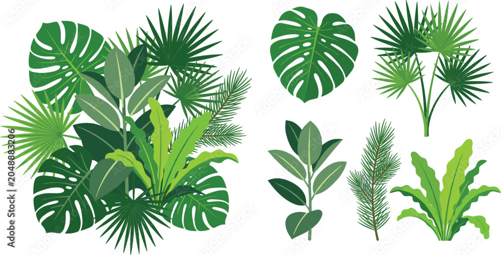 Fototapeta premium Tropical Foliage and Exotic Houseplants Vector Set Featuring Monstera Bird Nest Fern Fan Palm and Rubber Plant Bouquet Arrangement Graphic Illustration