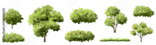 Vertor set of green tree,plants side view for landscape elevations,element for backdrop,eco environment concept design,watercolor greenery scene